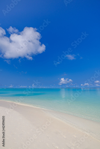 Beautiful beach background. Tropical panoramic beach view and blue sea waves blue sky and fluffy clouds. Summer coast  Mediterranean sandy seascape. Relax peaceful landscape. Tranquility  idyllic