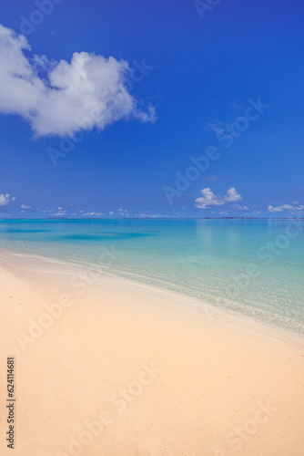 Beautiful beach background. Tropical panoramic beach view and blue sea waves blue sky and fluffy clouds. Summer coast, Mediterranean sandy seascape. Relax peaceful landscape. Tranquility, idyllic