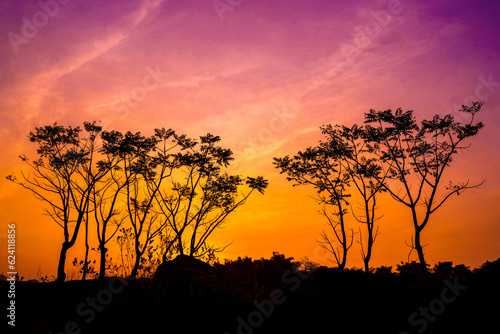 silhouette of trees against the orange and purple sky at Ranu Manduro  Mojokerto  Indonesia.