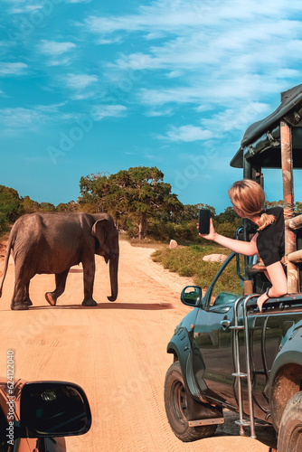 Photography Wildlife safari