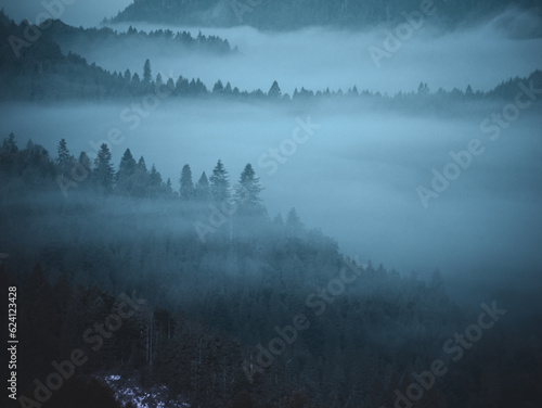 Fog over the mountains