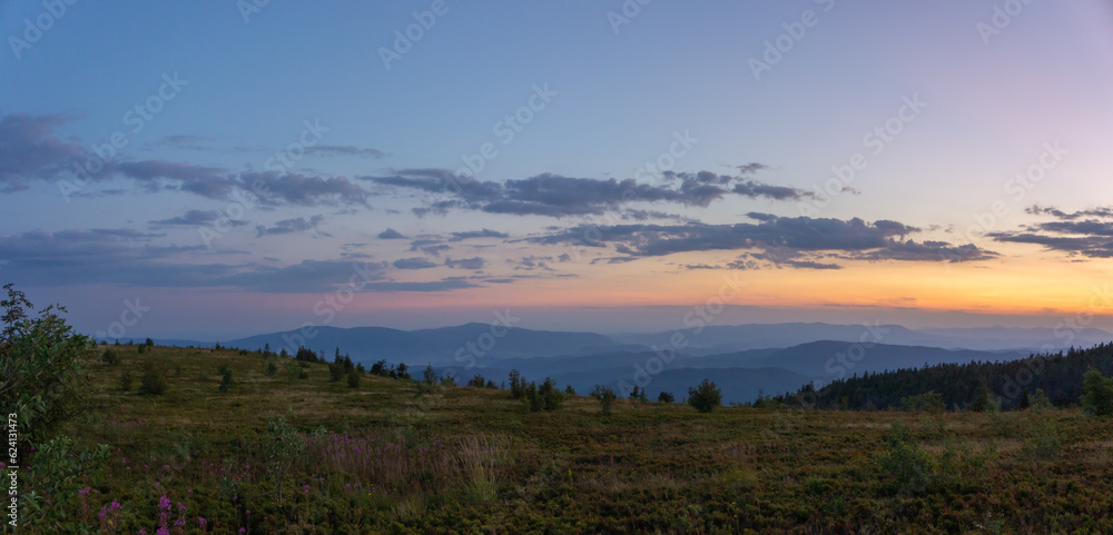 Mountain landscape in the evening, forest at sunset. Picturesque, calm view, serene mood of a summer evening