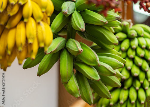 bunches of bananas close up © ksena32