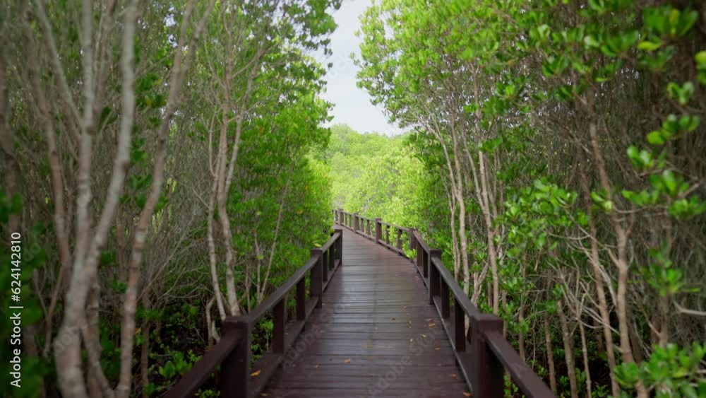 walkway weaves through the lushness of Thailand's enchanting forest. Sunlight filters through the foliage, illuminating a picture path that beckons you to embrace the serenity and beauty of nature . walkway weaves through the lushness of Thailand's enchanting forest. Sunlight filters through the foliage, illuminating a picture path that beckons you to embrace the serenity and beauty of nature .