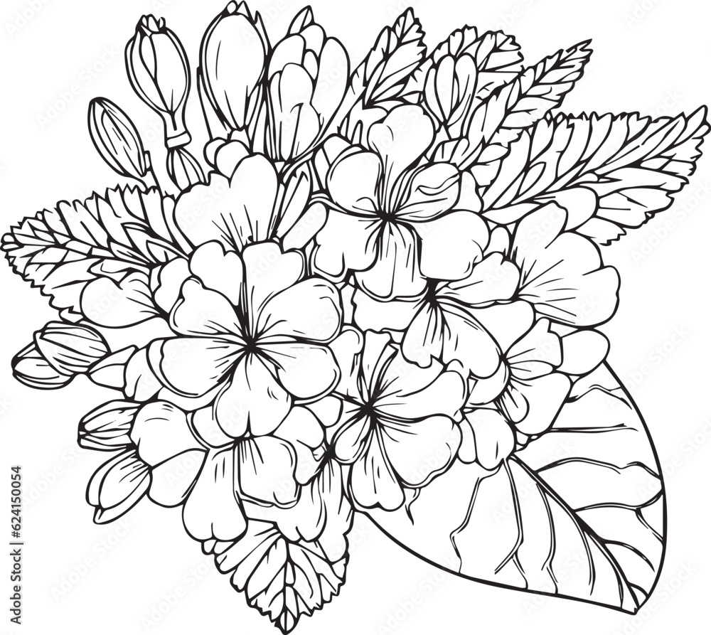 Cute kids coloring pages, easy primrose drawing, primrose flower black and white illustration, primrose flower outline, Primula Francisca flower vector art, simple flower drawing, unique flower colori