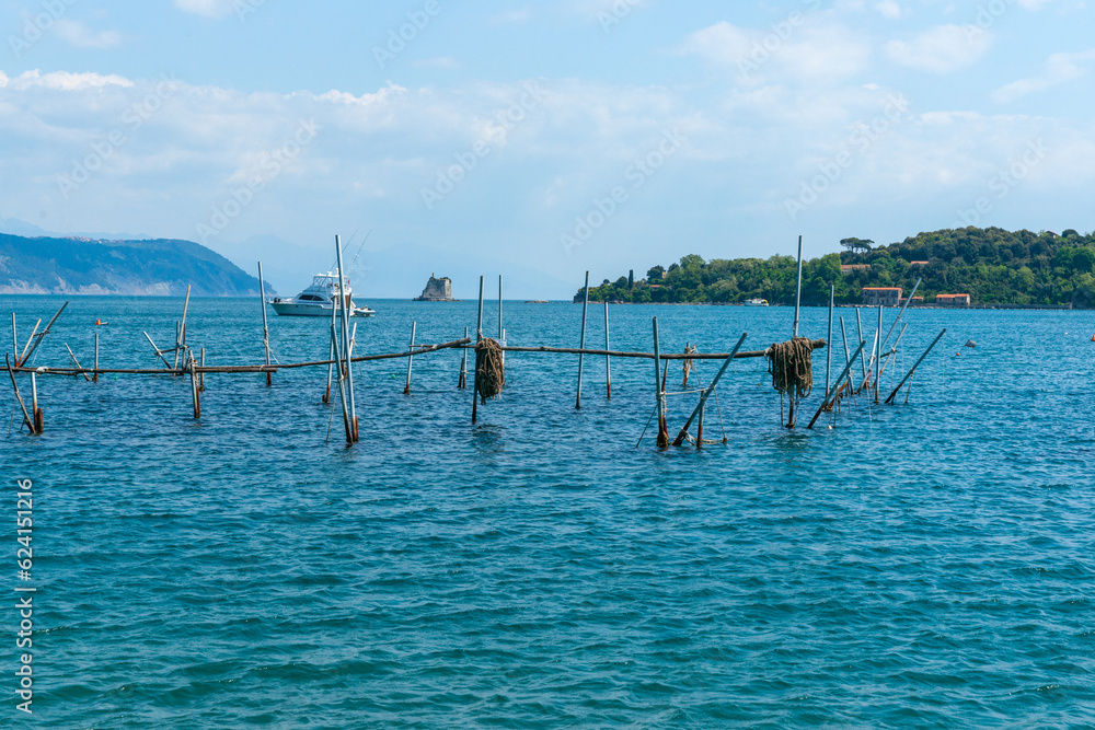 Scenic bay in Portovenere with stick structure of traditional mussel cultivation in water Scenic bay in Portovenere with stick structure of traditional mussel cultivation in water