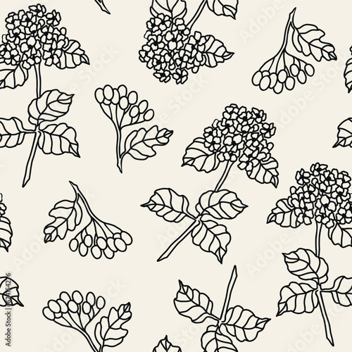 Hand drawn viburnum branch background