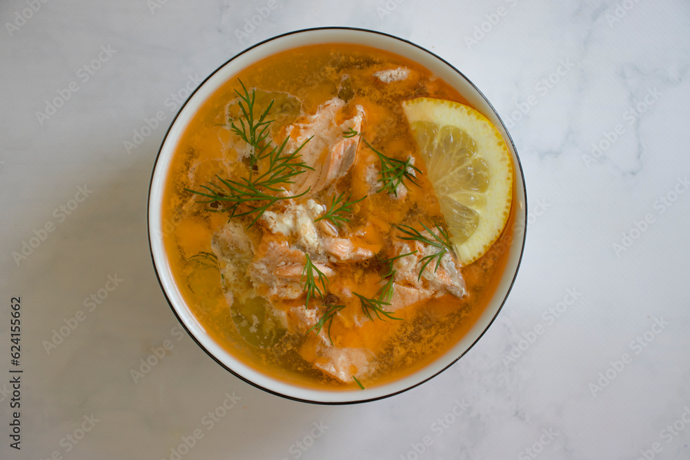 Salmon soup on a light background Salmon soup on a light background