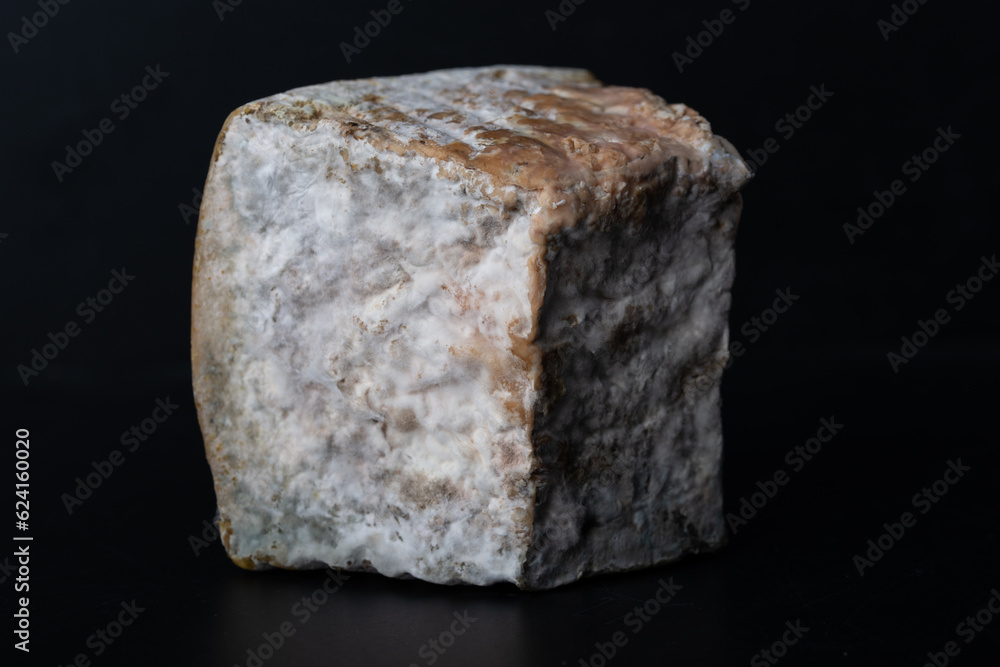 Piece of cheese fermented by bacteria with fungus and mold Piece of cheese fermented by bacteria with fungus and mold