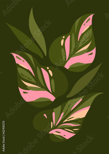 green exotic leaves on a dark background. tropical leaf print