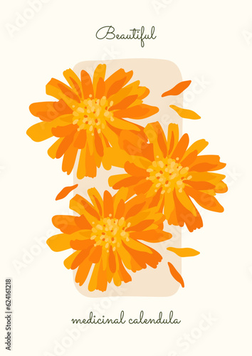 orange flower arrangement. flower poster with flat petals