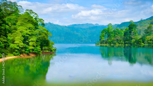 Beatiful nature lake and forest  nature landscape background