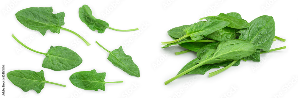 fresh spinach isolated on white background. Top view. Flat lay fresh spinach isolated on white background. Top view. Flat lay