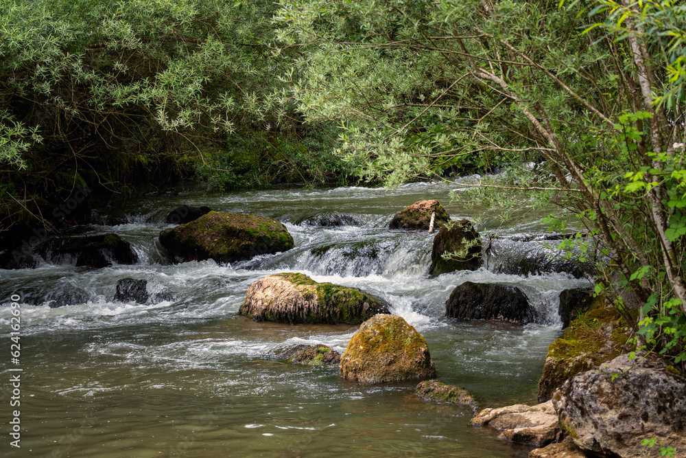 Fototapeta premium les bords de la versoix, rivière sauvage