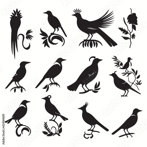 Quetzal silhouettes and icons. Black flat color simple elegant Quetzal animal vector and illustration.