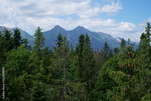 Krajobraz górki, góry w chmurach, góry i doliny widok na wysokie Tatry oraz doliny w pobliży wysokich gór. 