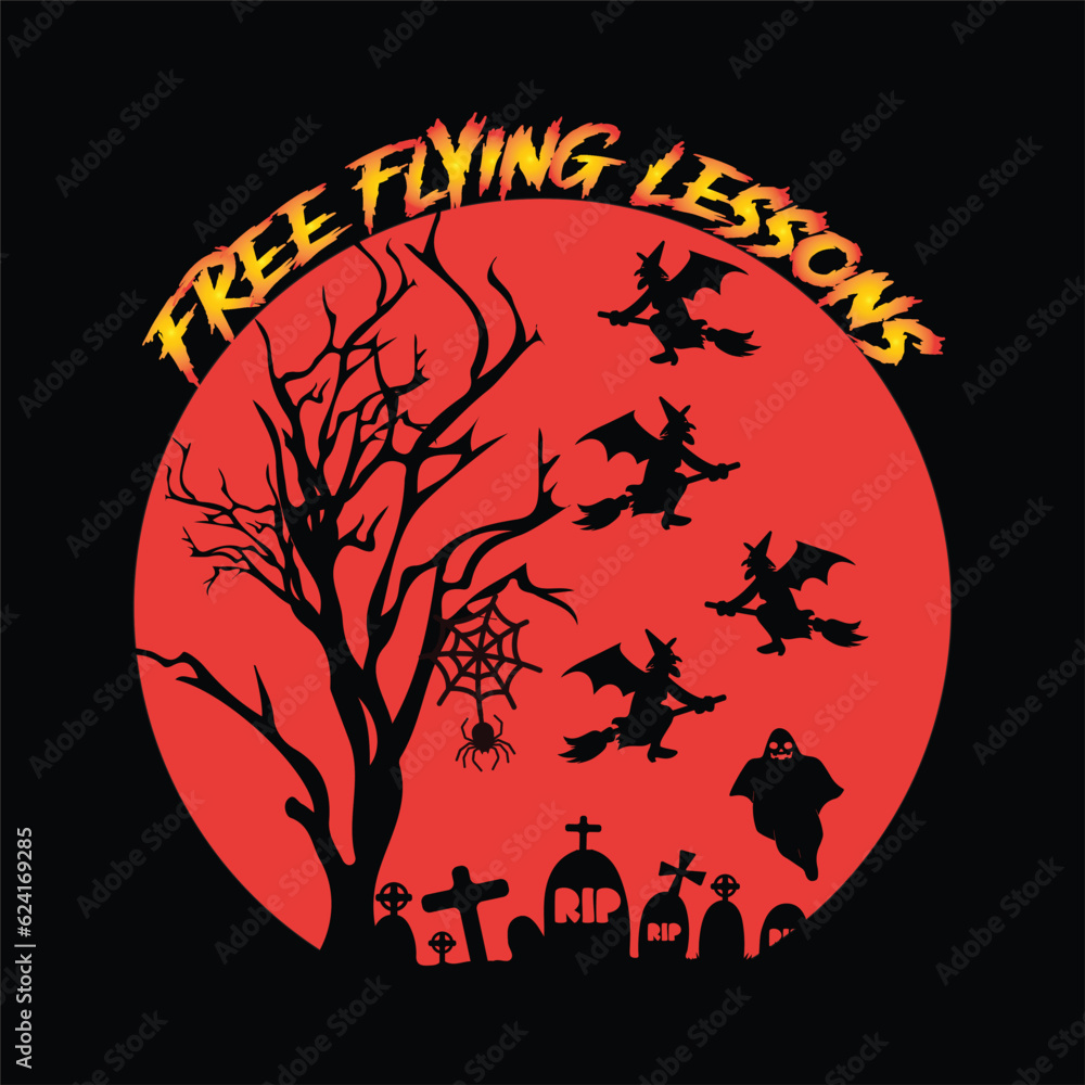 Free flying lessons