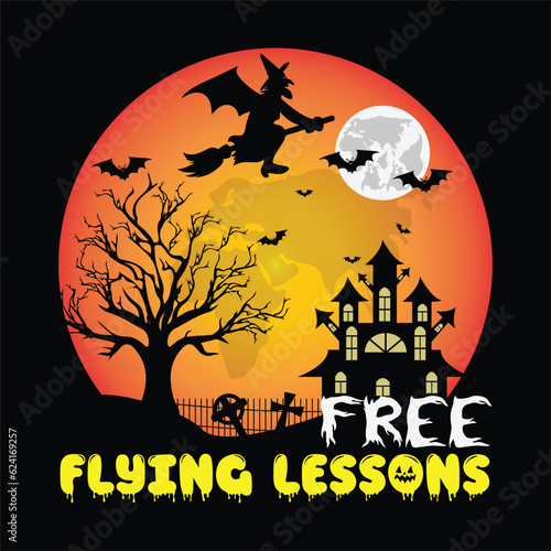 Free flying lessons 2