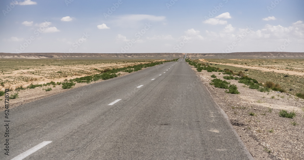 Minimalistic asphalt road in the middle of the Kazakh steppe, on a hot summer day