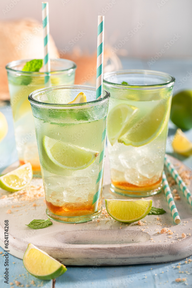 Homemade lemonade as perfect drink for hot summer days. Homemade lemonade as perfect drink for hot summer days.