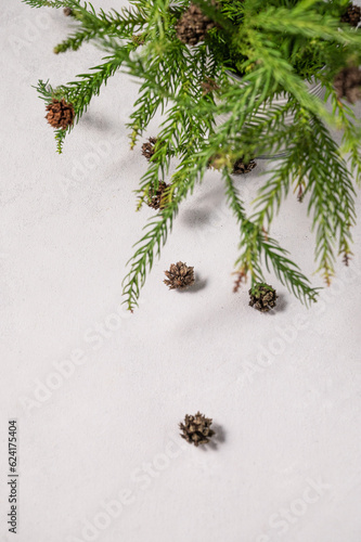Flat lay fir tree. Decoration of a coniferous branch and pine cones on a gray textural background. Festive new year concept or product mockup.