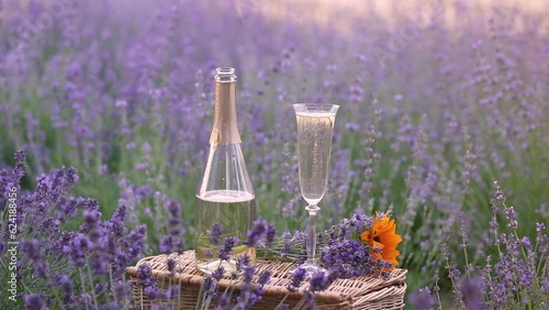 Delicious champagne over lavender flowers field. Violet flowers on the background.