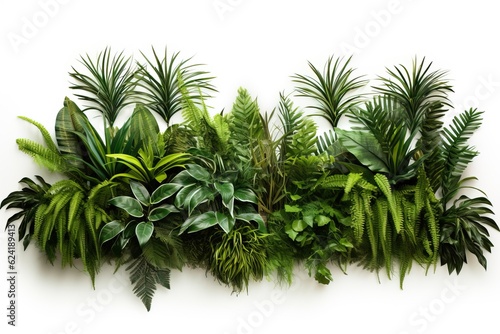 Tropical Leafs in a White Background easy to Cutoff