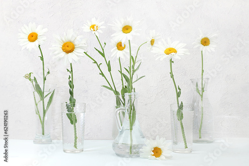 Beautiful chamomile flowers in a vase on a light background with place for text, summer banner for advertising, minimal holiday concept with flowers, greeting card for wedding, birthday, mother's day