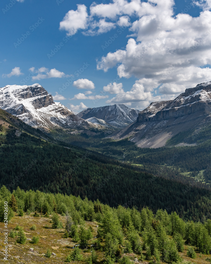 Wilderness views in Banff National Park during summer time with snow capped mountains on a blue sky, clouds day. Beautiful nature in Alberta, British Columbia