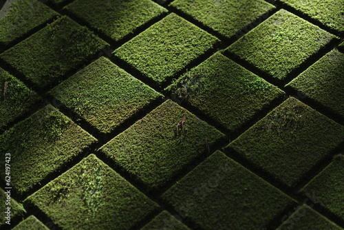 光のグラデーション