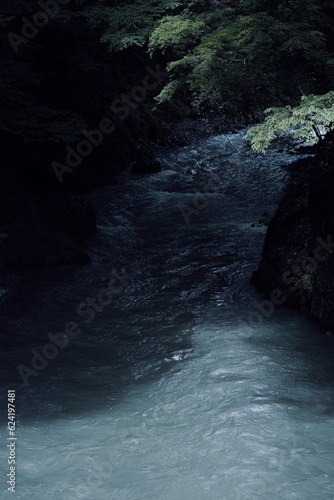 奥多摩の流れと光