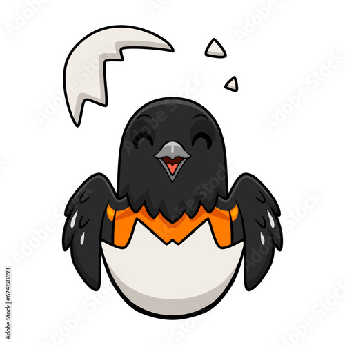 Cute baltimore oriole bird cartoon inside from egg