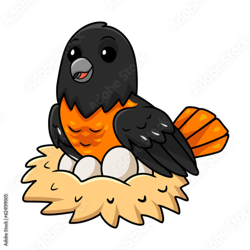 Cute baltimore oriole bird cartoon with eggs in the nest