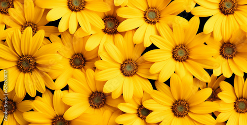 Nature yellow gardening flower