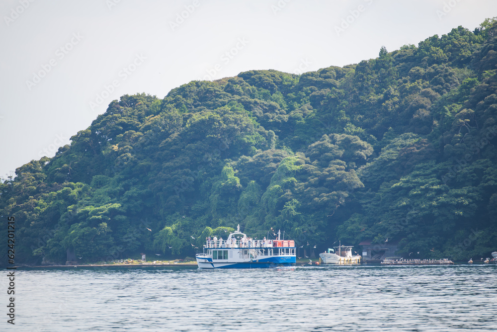 日本の京都府伊根町の海を航行する遊覧船