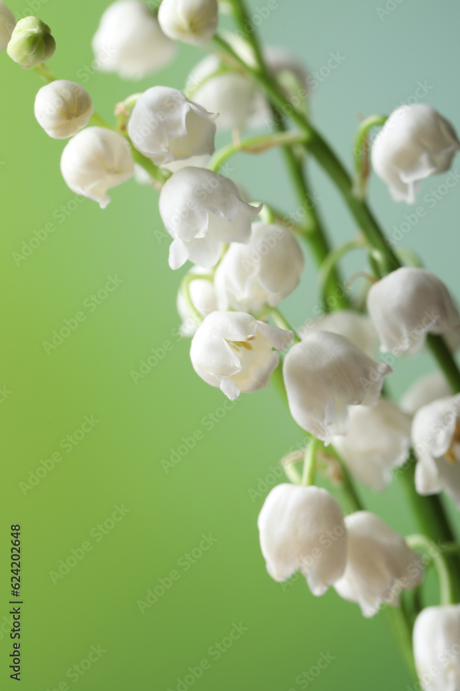 Beautiful lily of the valley flowers on blurred green background, closeup Beautiful lily of the valley flowers on blurred green background, closeup