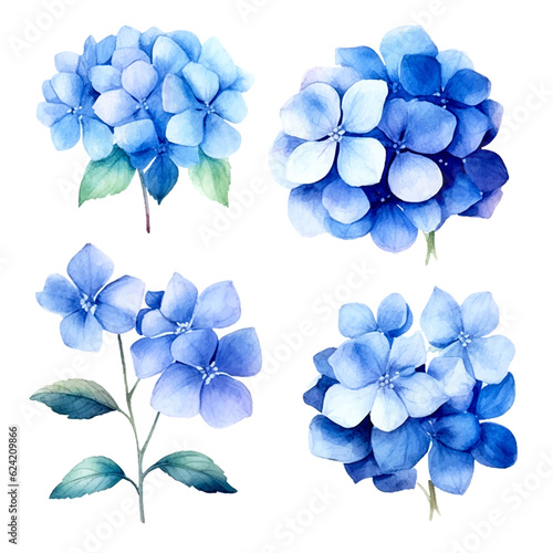 Vector set blue flowers  hydrangea flower and leaves