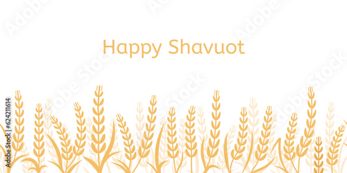 Shavuot background with yellow wheat ears, happy season and festive. Golden barley isolated, israel festival agricultural decent vector banner