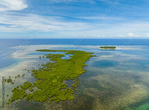 Mangroves with lagoons and tropical island with turquoise water. Coral reefs and sea waves. Mindanao, Philippines.