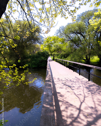 bridge in the park