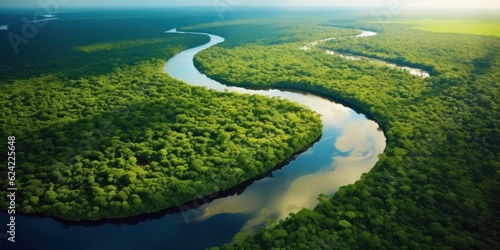 Aerial view of the Amazon Rainforest, lush greenery.
