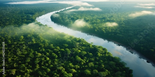 Aerial view of the Amazon Rainforest, lush greenery.