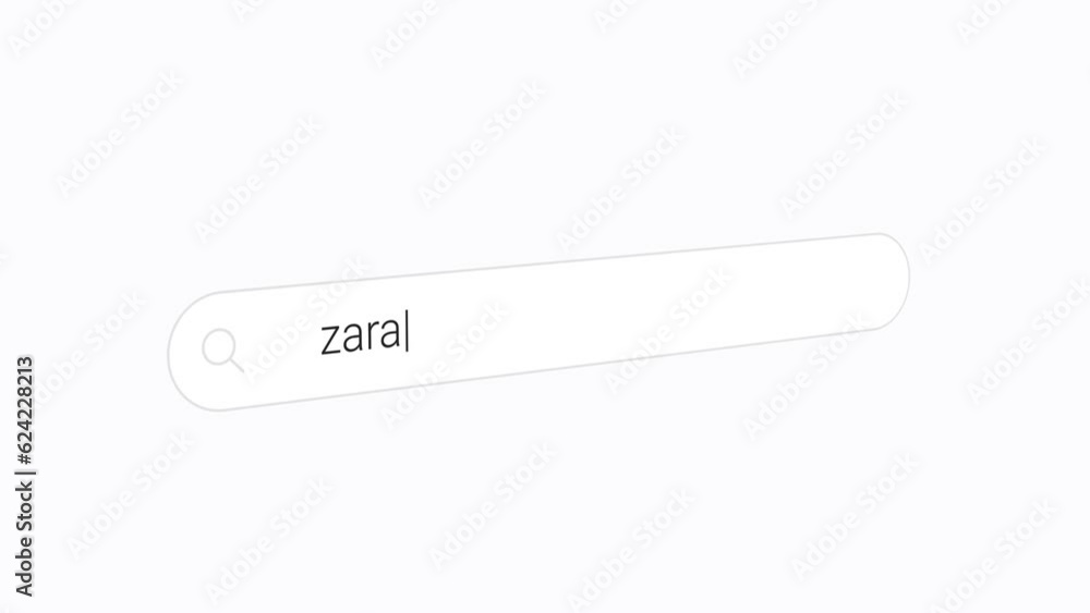 Zara in the Search Box Zara in the Search Box