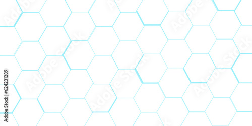 Hexagonal cells white and skyblue background Seamless wooden wall with pattern ,in the photo decorative finishing tiles for the sidewalk