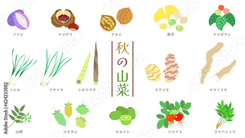 秋の山菜のイラストセット。フラットなベクターイラスト。 Illustration set of autumn wild vegetables. Flat designed vector illustration.