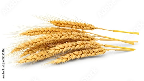 Wheat ears isolated on white background