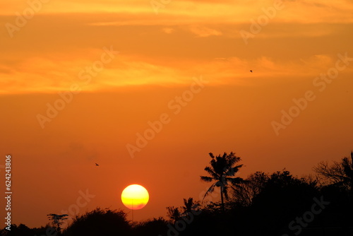 sunset view and evening violet clouds. silhouette of forest and coconut trees.