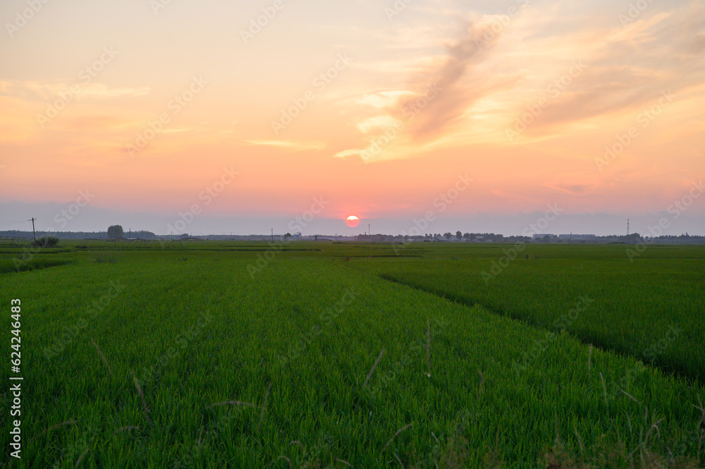 夕暮れ時の田舎景色 夕暮れ時の田舎景色
