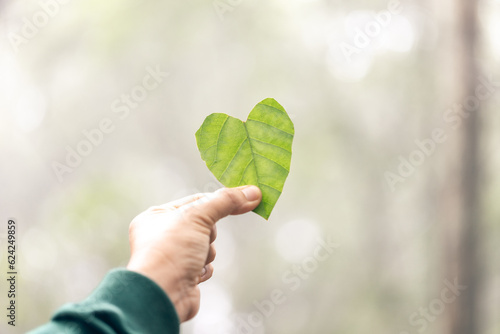 Hands holding green heart leaves.Plant a planting trees, loving the environment and protecting nature Nourishing the plants and world look beautiful, Forest conservation concept.