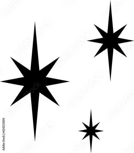 Shine icon  Star icon vector